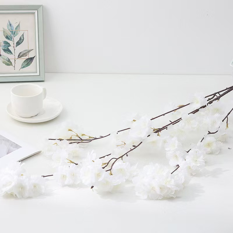 微信图片_20240527080838