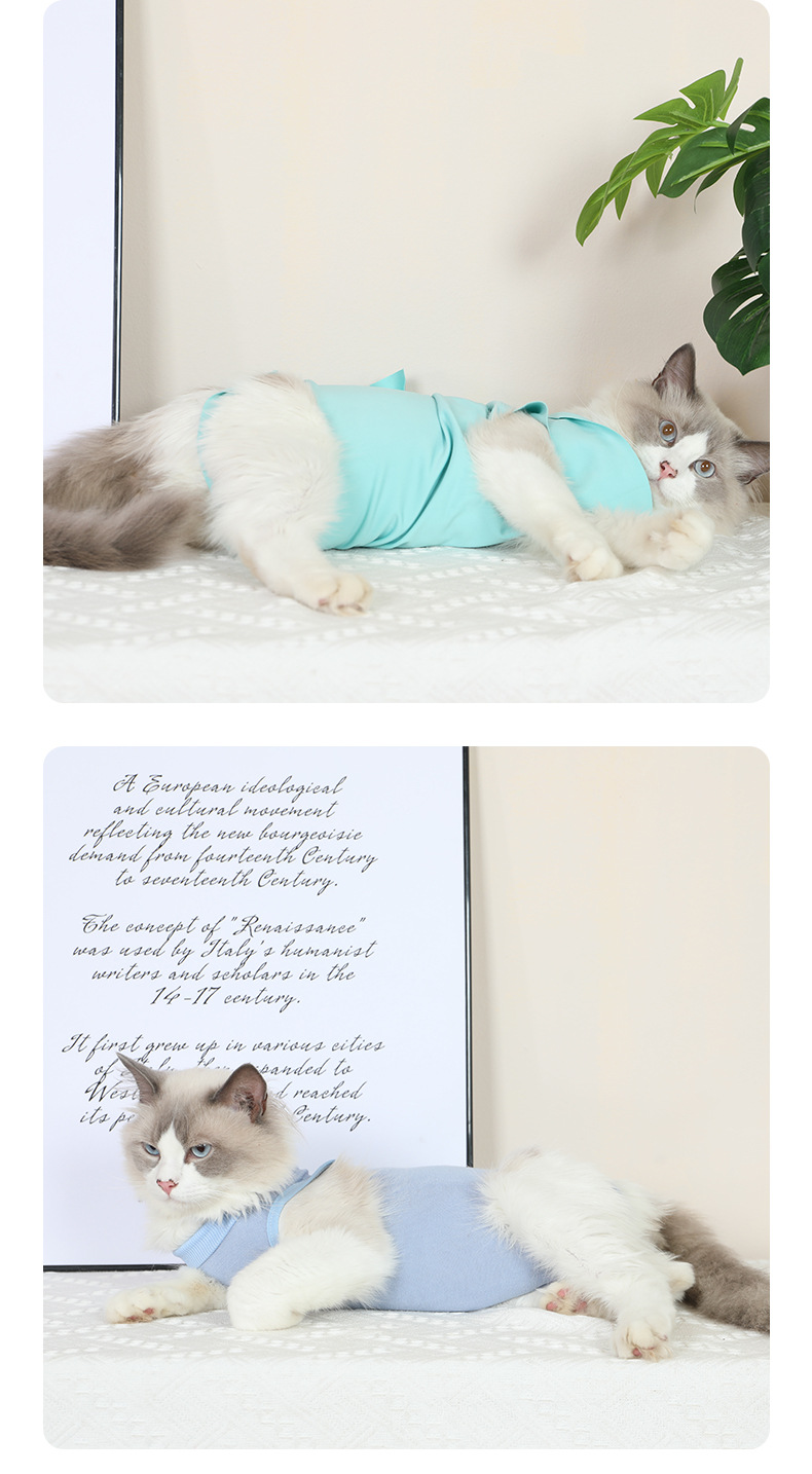 猫咪绝育服_10