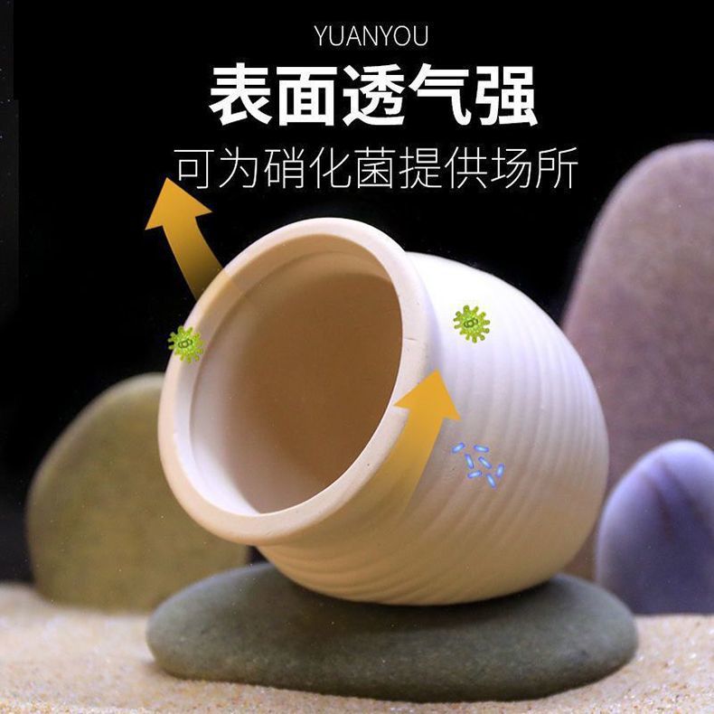 35d0a992-d7a7-476d-8446-a71f61300e39.jpe