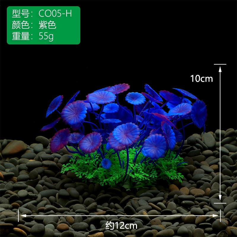 CO05-H紫色.JPG
