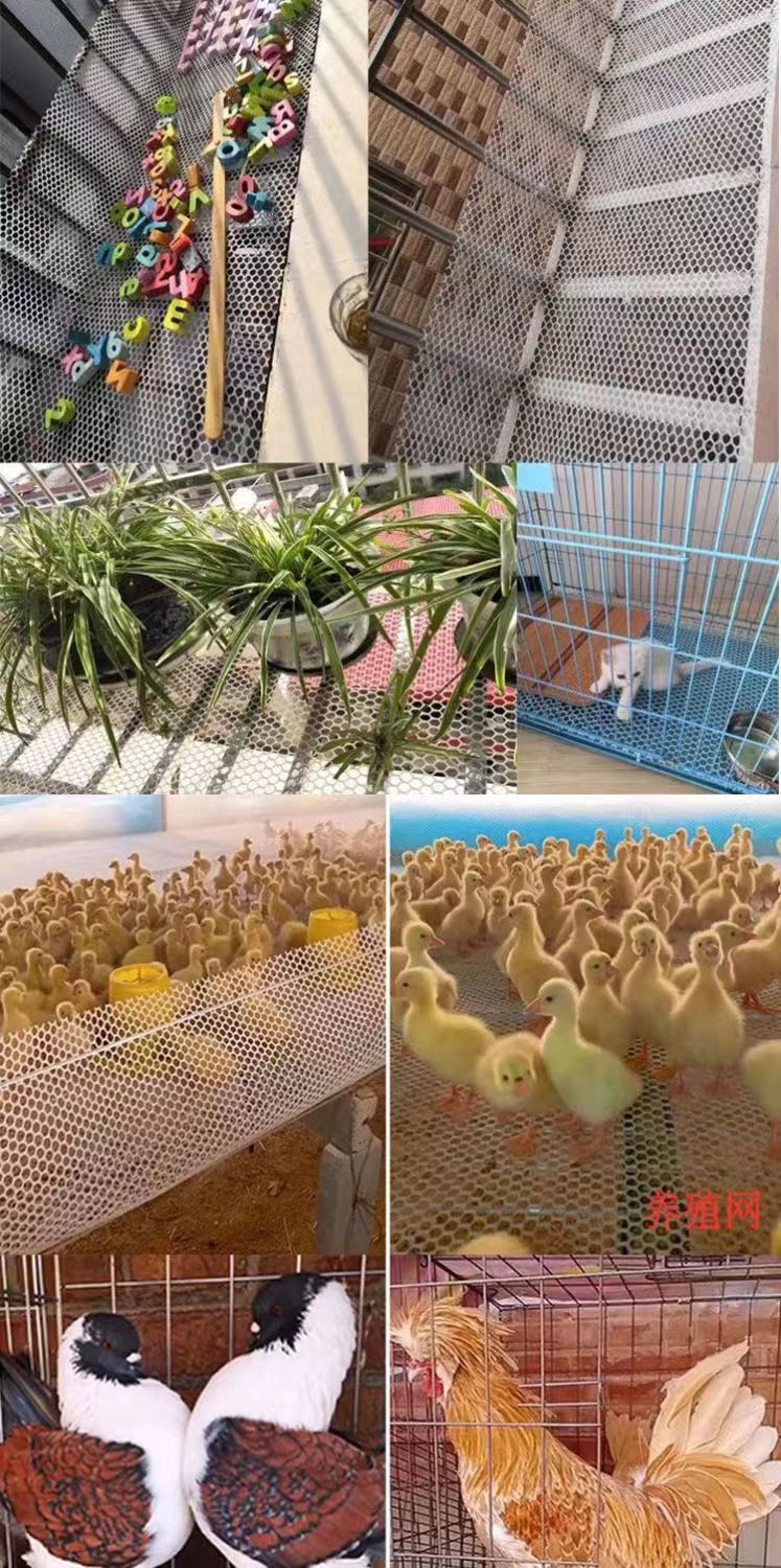 13a329b5-5e99-41c5-92d7-38ed0d6c8ece.jpe