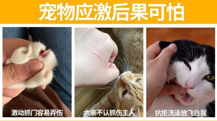 53137b38-9130-44cd-a912-b9e53cc60ec0.jpe