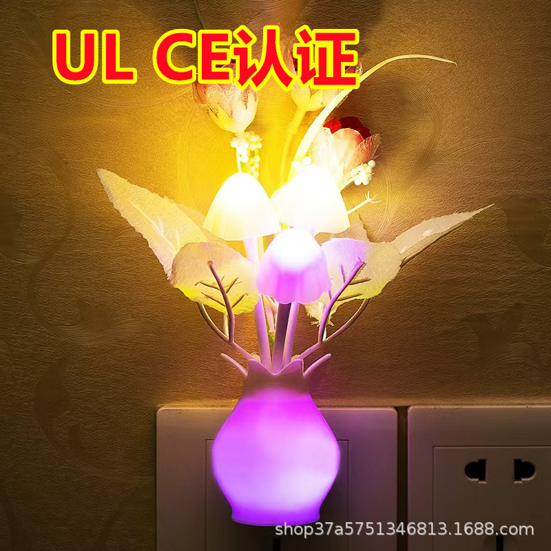 微信图片_20241225012621