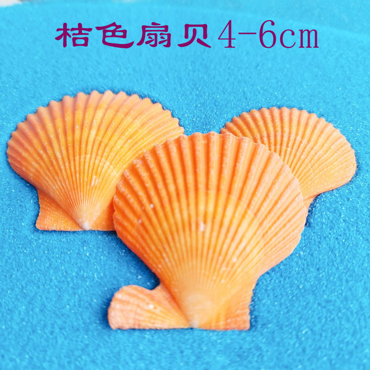 MTXX_20230205112306687 拷贝