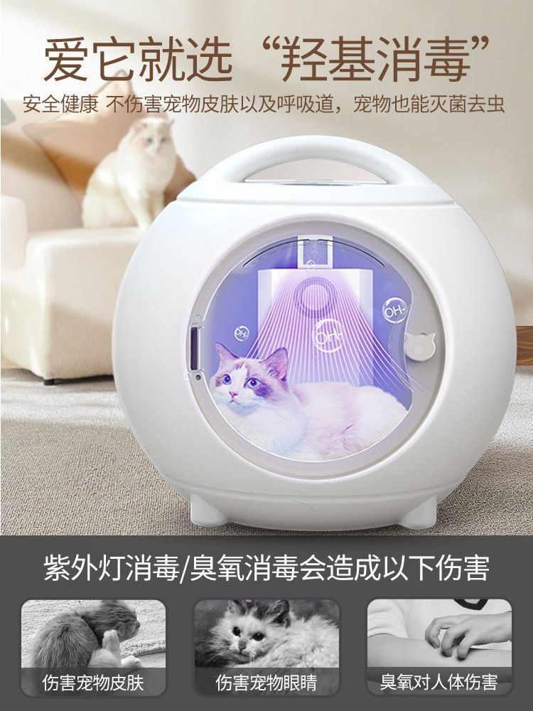 e85823e0-b322-4bdb-b90f-02eb5ff5b3e6.jpe