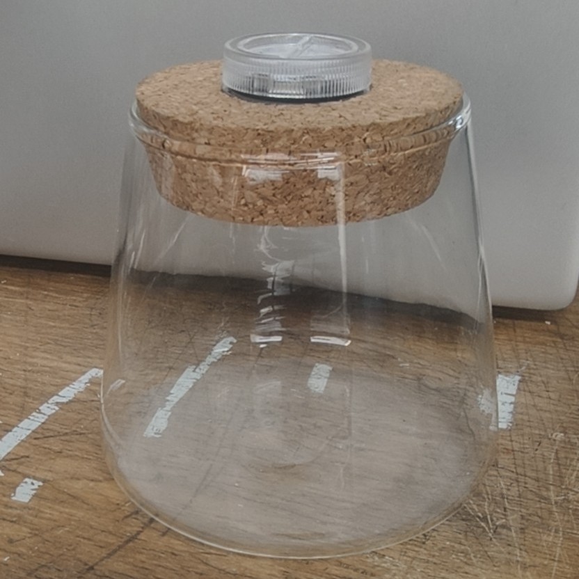 2025-05-12 09:13:46.jpg