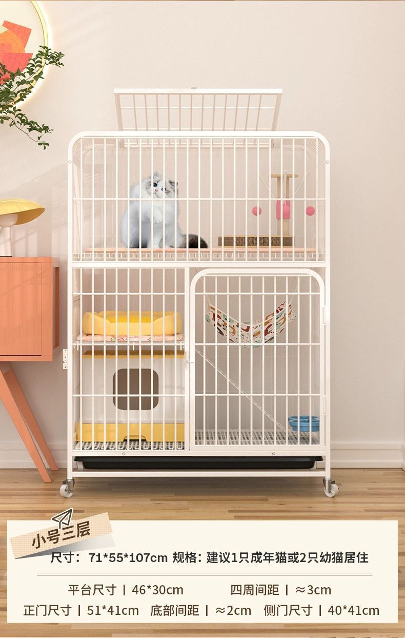 9e54c8bb-dcb1-4ee6-8c80-c659549bcb18.jpe