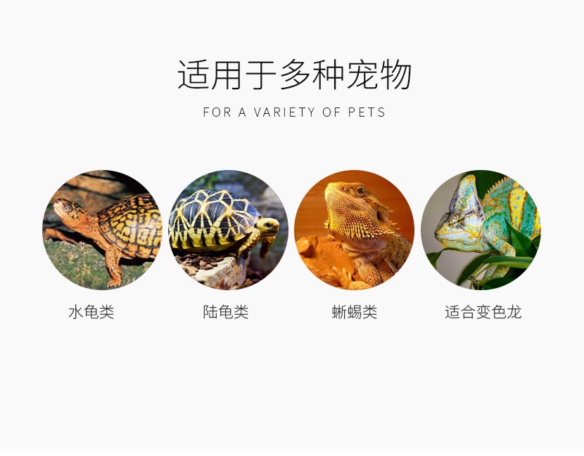 O1CN01sl3fiv24hKKVDentF_!!2209