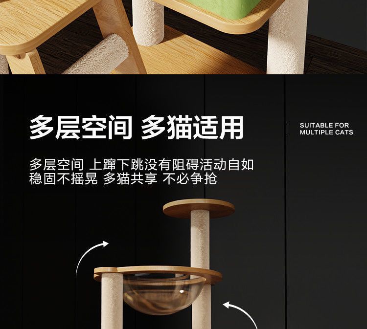 b896894f-2b11-4cf0-9aa4-e47f115acadc.jpe