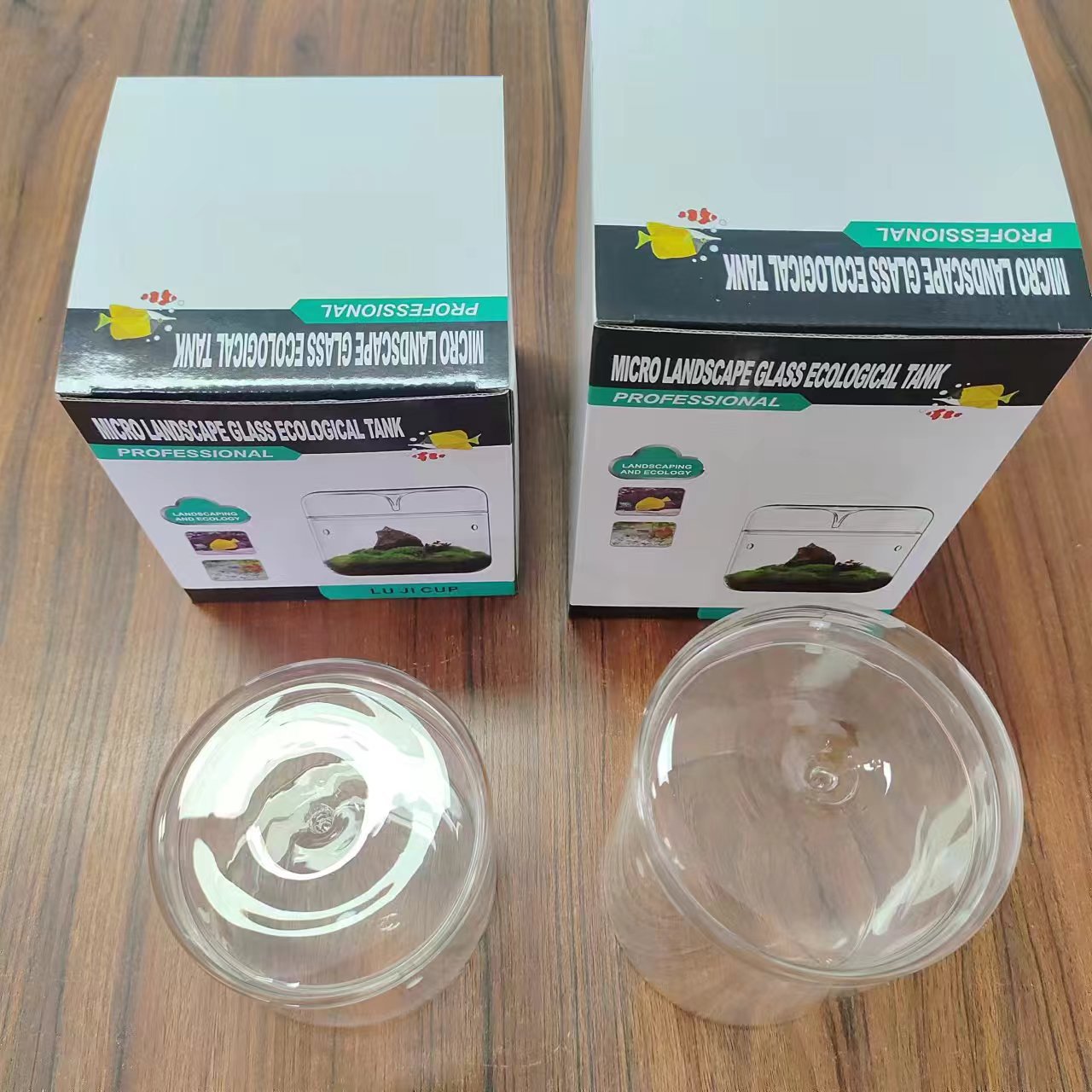 微景观造景缸 (8).jpg