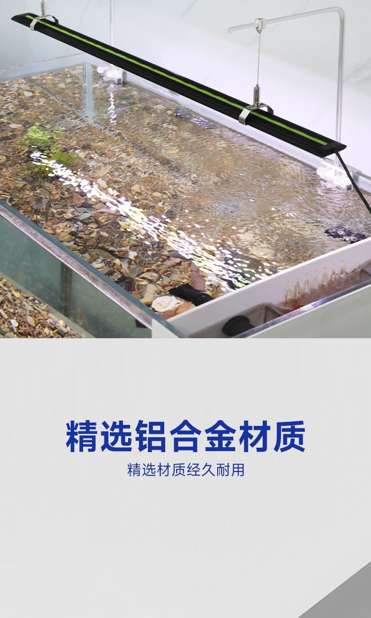 5feaf082-a9de-4464-8a29-11b05b8bf8e4.jpe