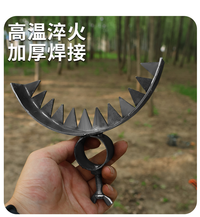 详情_10.jpg