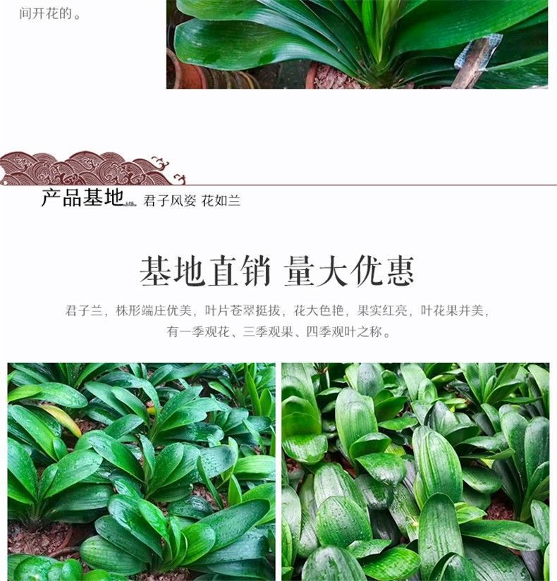 fd3b987f-9416-4b4c-ad84-d8eadc23a6d8.jpe