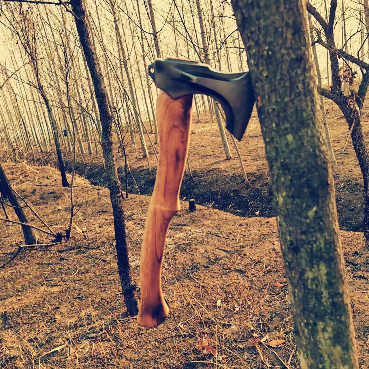 微信图片_20240305165435