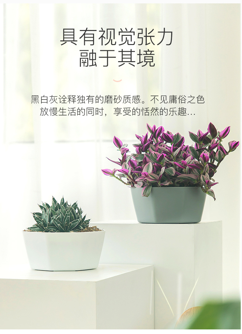 比加盆详情页分页_06