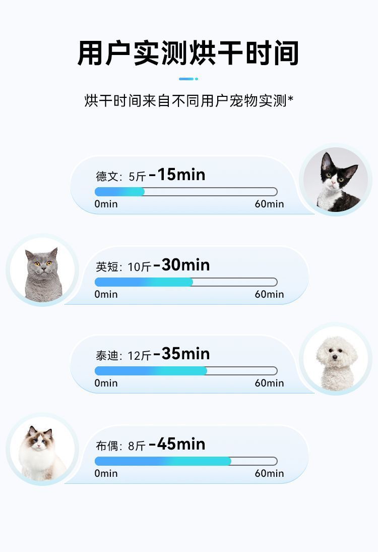 cdeae634-8c07-4b5c-b9f9-48e1f72296ce.jpe