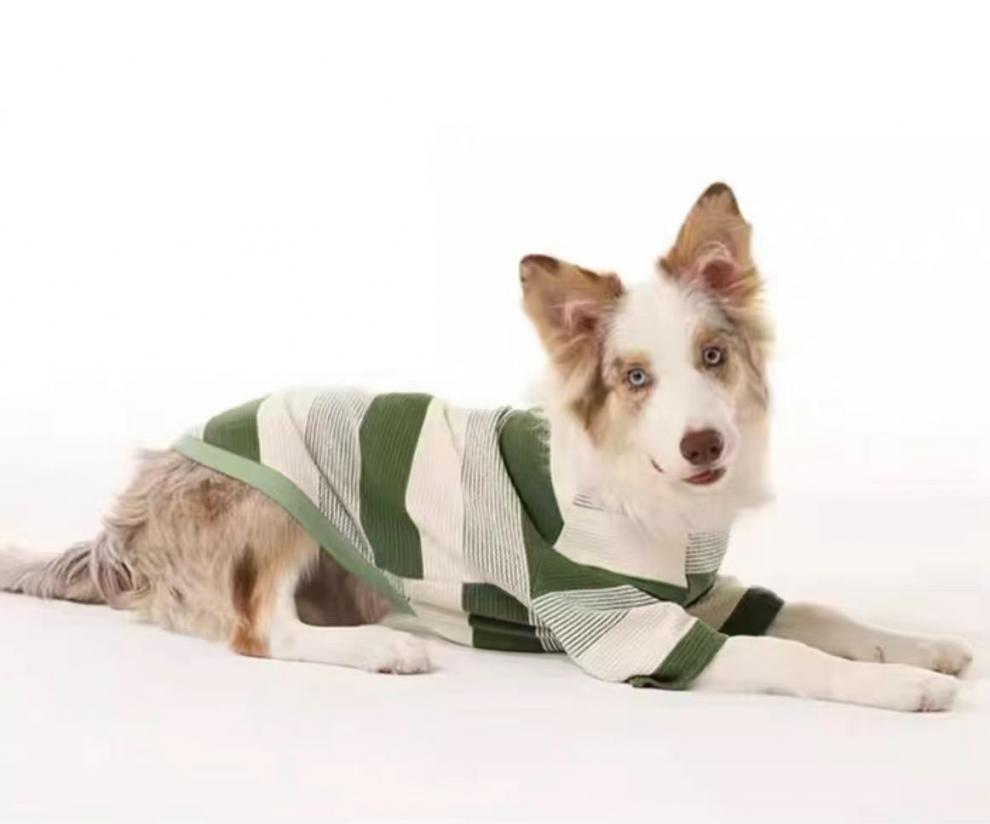 d098557e-6326-4d47-8a90-8467cf80df73.jpe