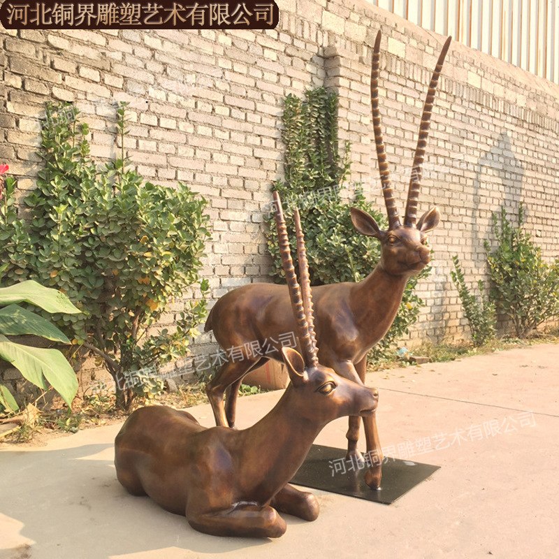 跳羚 (5).jpg