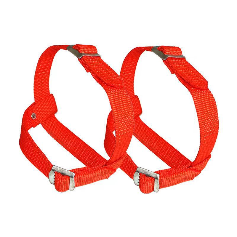 微信图片_20231115134234