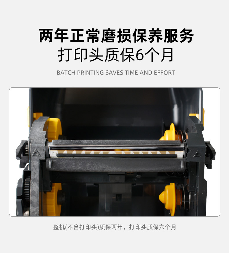 斑马_09.jpg