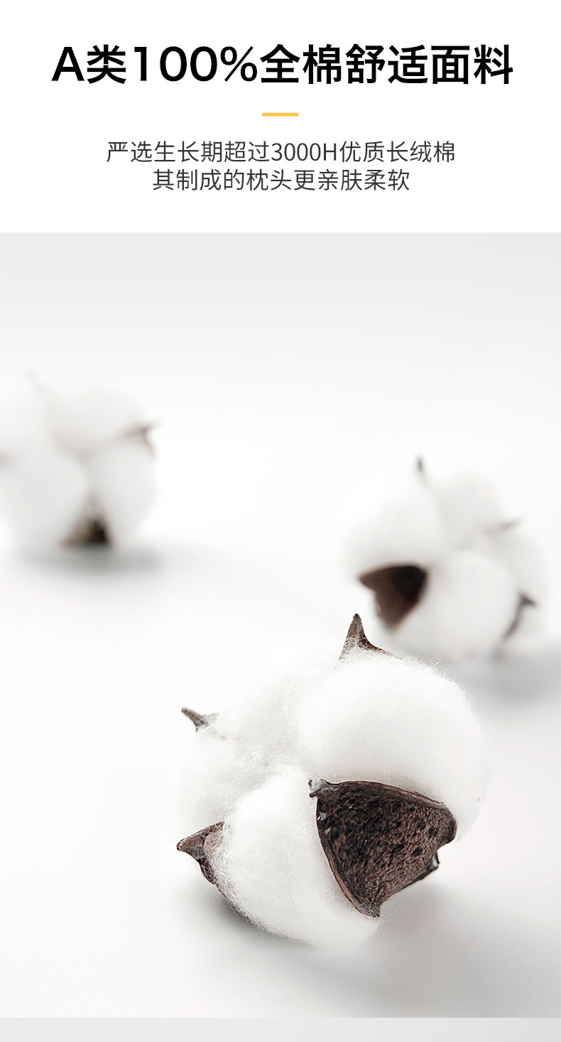 熊猫枕芯_07.jpg