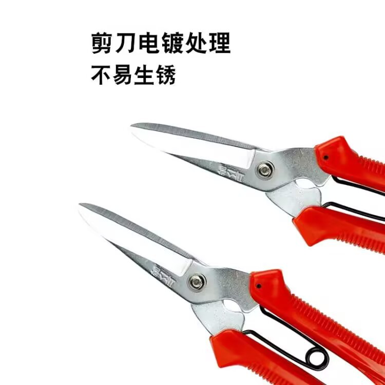 5397F714F0AD8EC242A1C51E5814EF