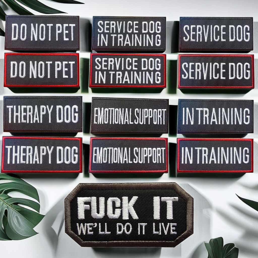 e24376517de21c737caaccb0fba8aa