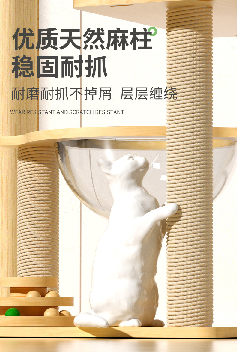 2bc5f975-d55a-465d-904a-ca5af8b19460.jpe