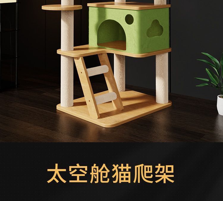 2ce4dae6-4b6f-4802-a692-572aedda3a5a.jpe