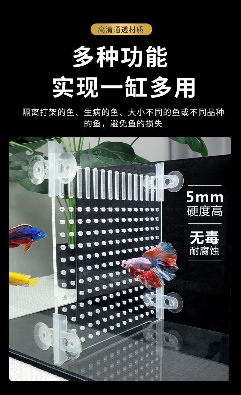 2edb82b7-8405-4dc9-9307-1002d8267362.jpe