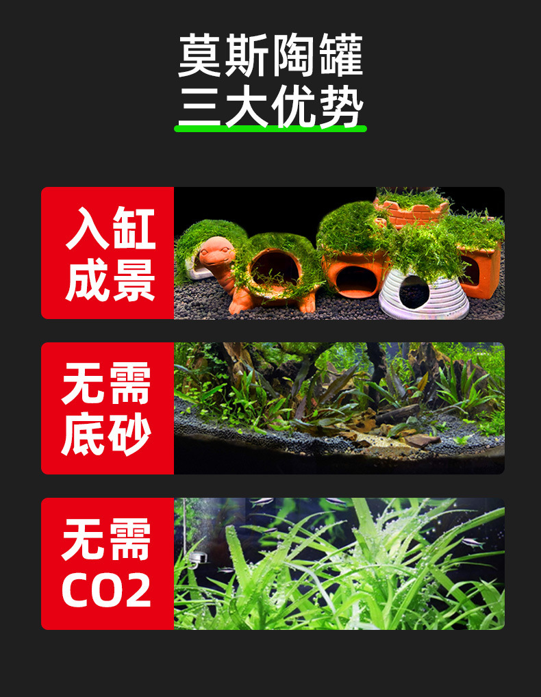 d20b9a97-344e-45c0-8078-485f1c2b98b6.jpe