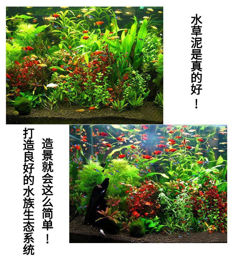 1c790130-8f95-44b1-88a3-3c8352952e64.jpe