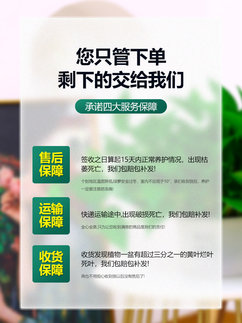 9364f6ca-bc92-47f1-92c9-899b61688dd1.jpe