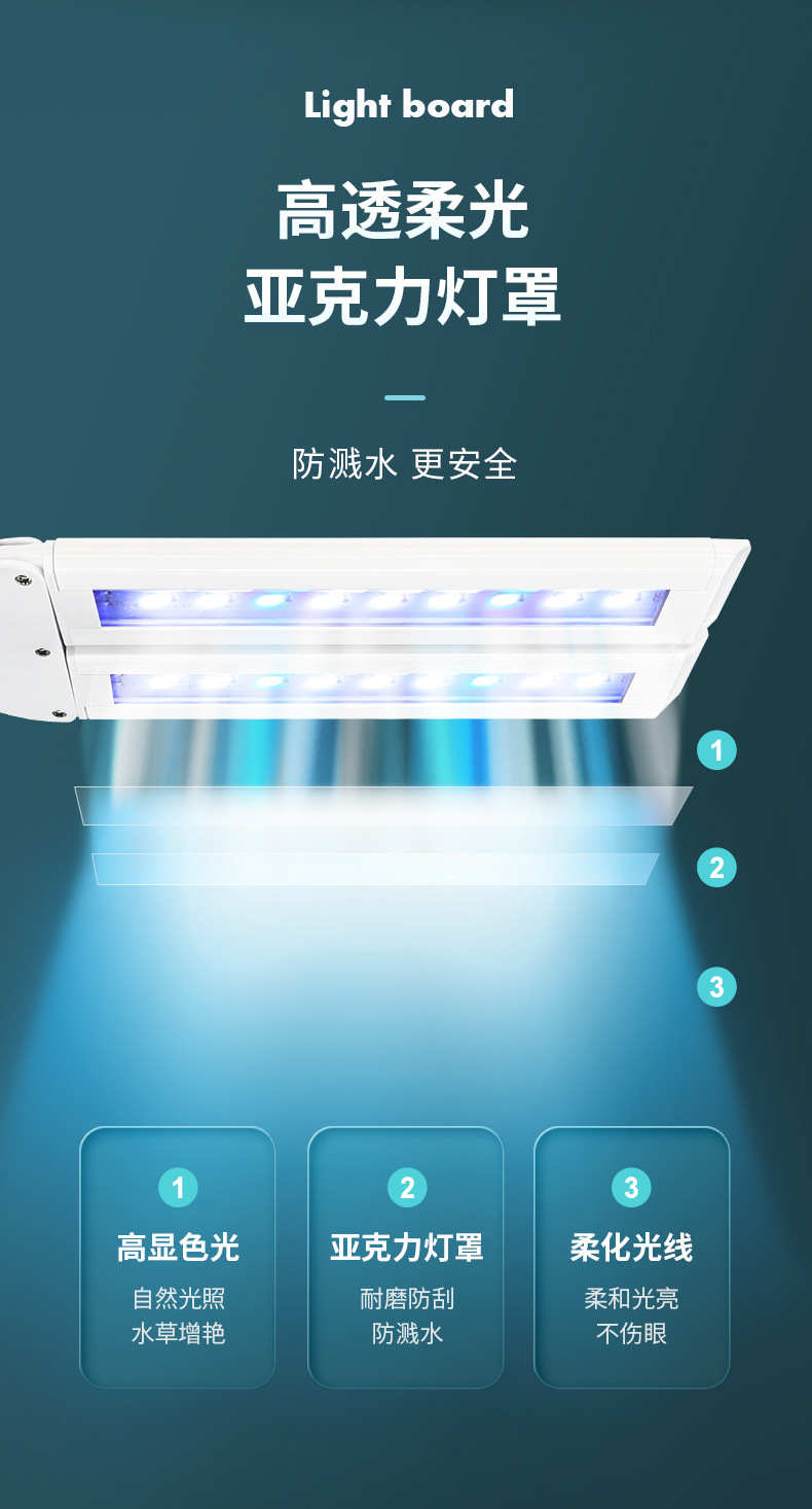 双叶水草_10.jpg