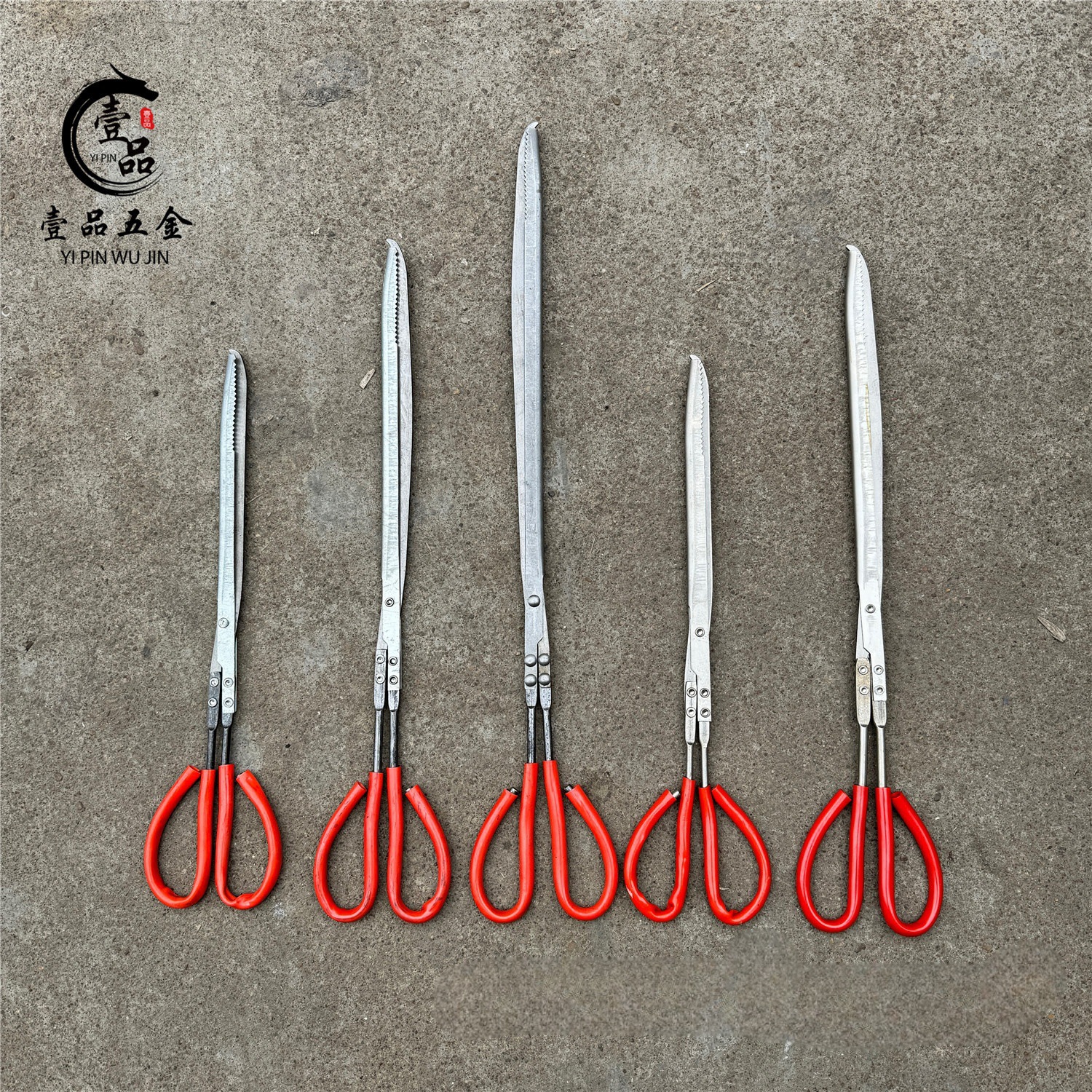 IMG_5931(20240316-102355)_副本