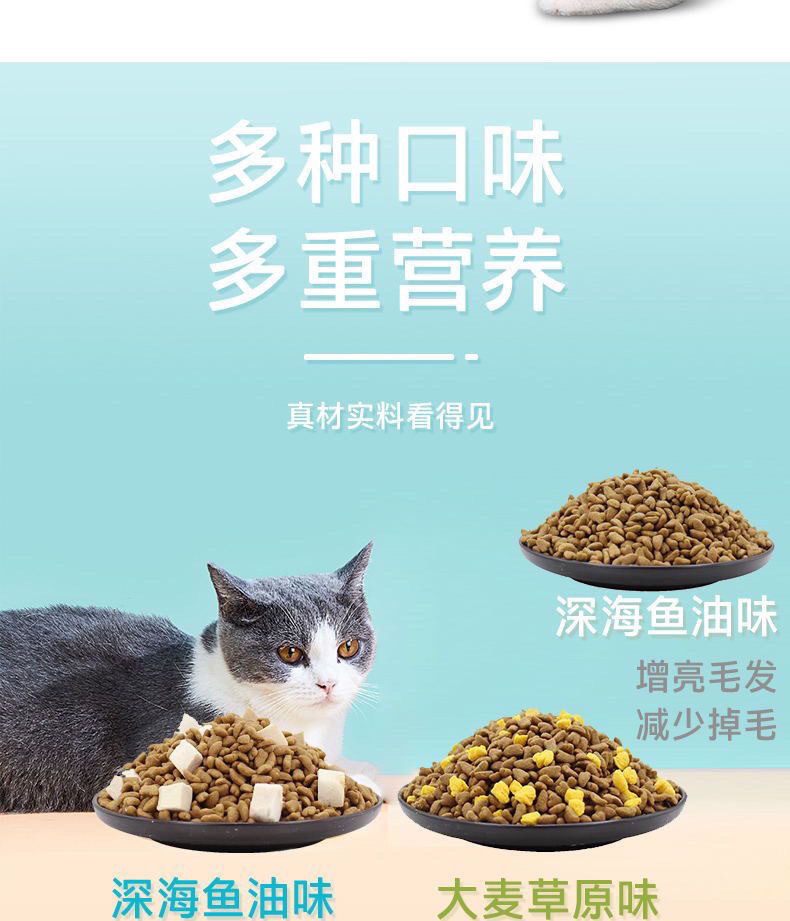 89bdf9a8-5269-4328-87cc-27281b4319cb.jpe