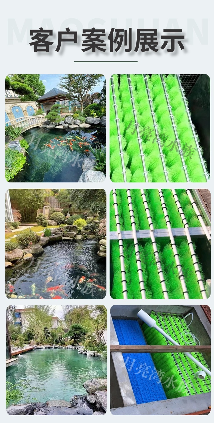 6db1674d-0bab-4210-be8b-dd8ef2d87801.jpe