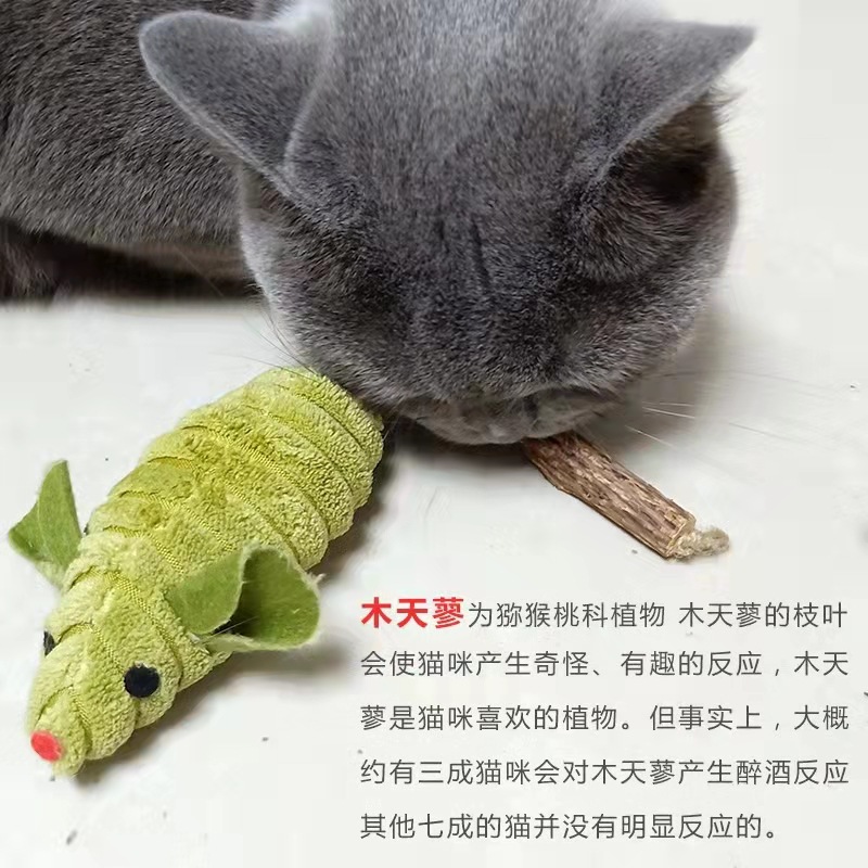 微信图片_20220305144736