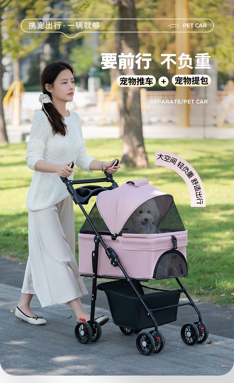 c4c9a30d-422c-4cf9-a433-bdd41b07d44b.jpe