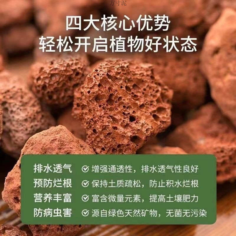 572f2b9c-7831-4b08-9b1c-347c42a704c4.jpe