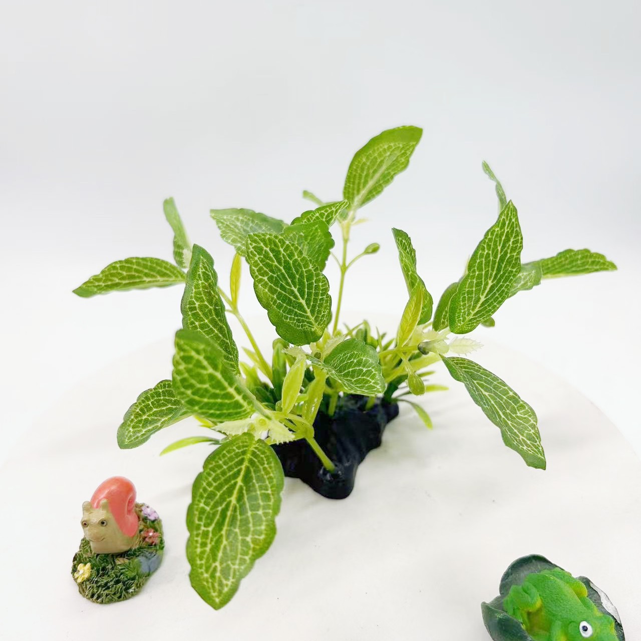 微信图片_20240117155828