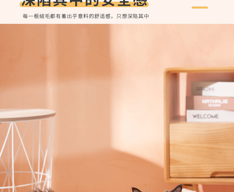 d398a9bf-0059-44a3-a2f0-8b0fa1a8cc75.jpe