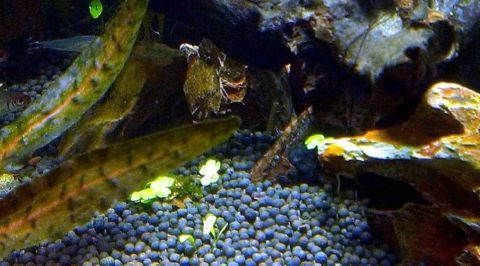 6417c139-2e65-4cd0-9af5-e6ae1e3d2a24.jpe