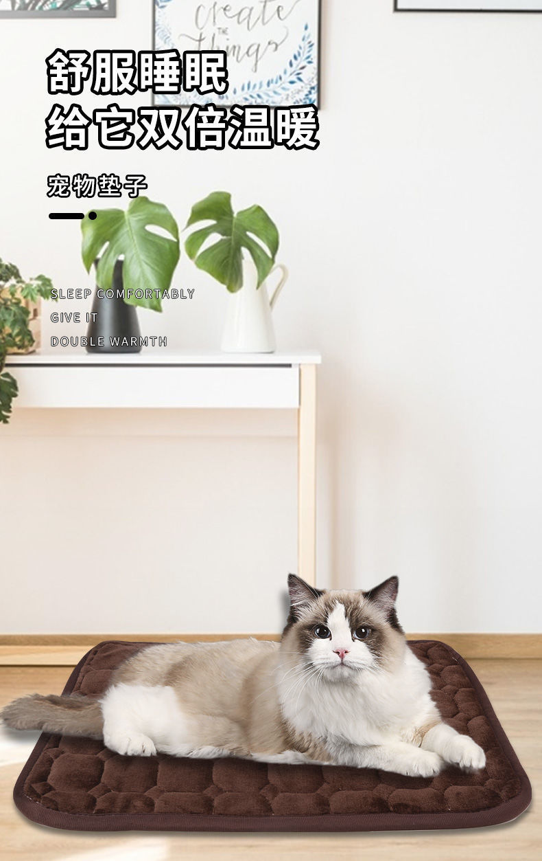 50b2c935-3eee-45d0-b50d-2a30d107a411.jpe