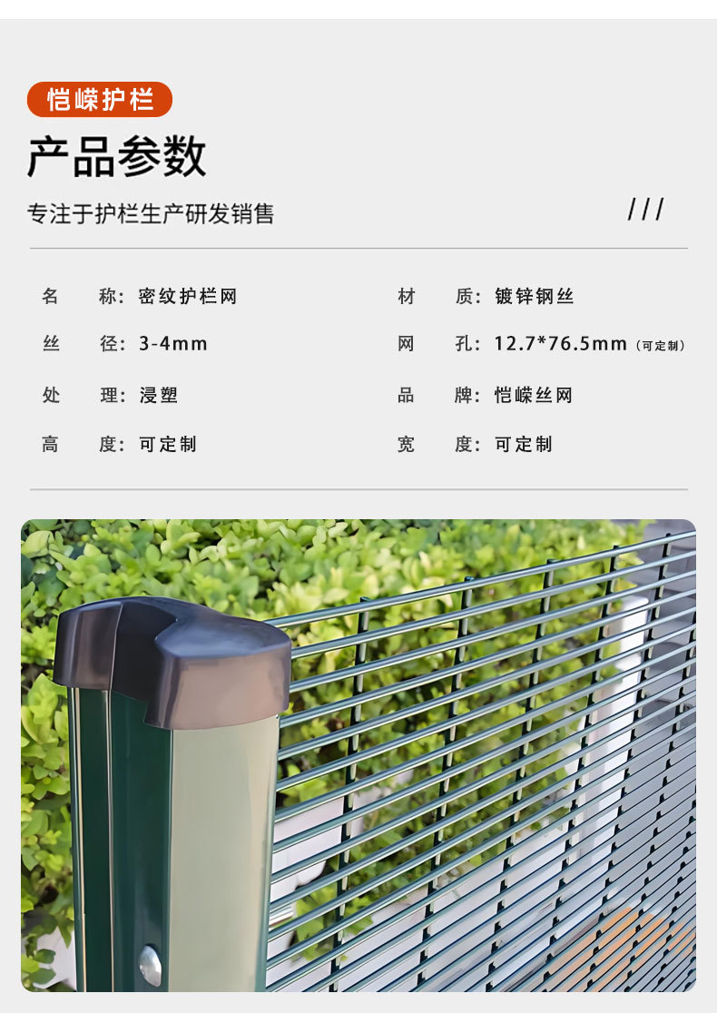 358密纹网监狱护栏详情_06.jpg