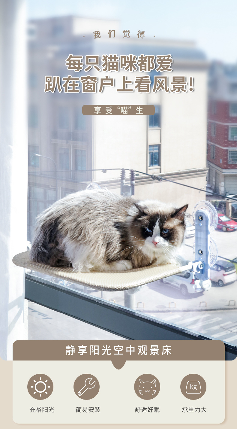 猫吊床_01.jpg
