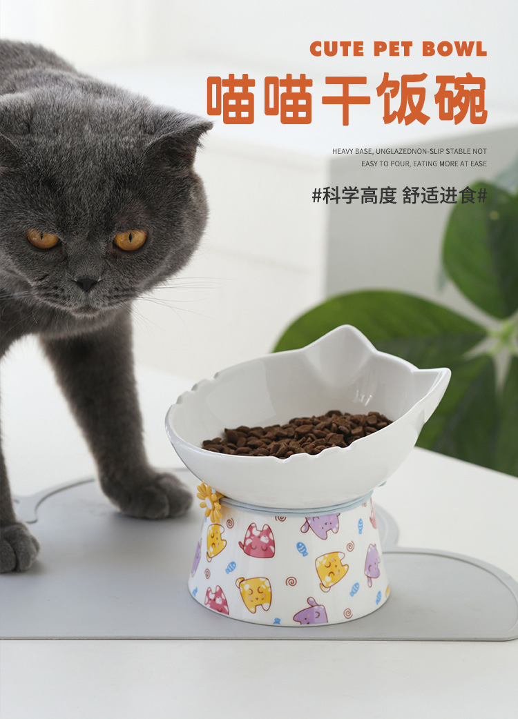 宠物碗_01.jpg