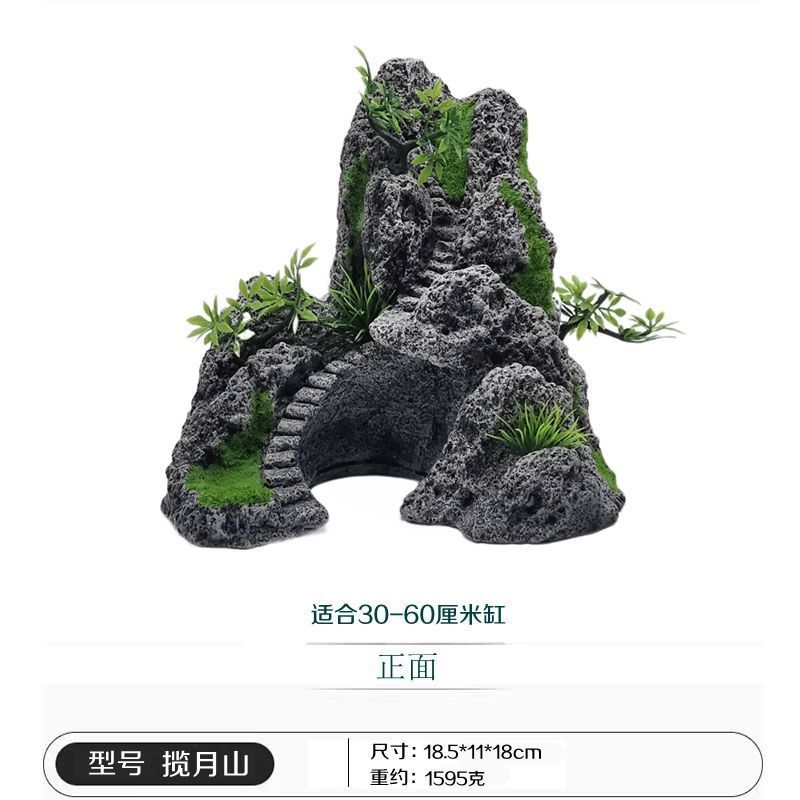 3ea73517-b5f7-4210-a877-41d67b84ea40.jpe