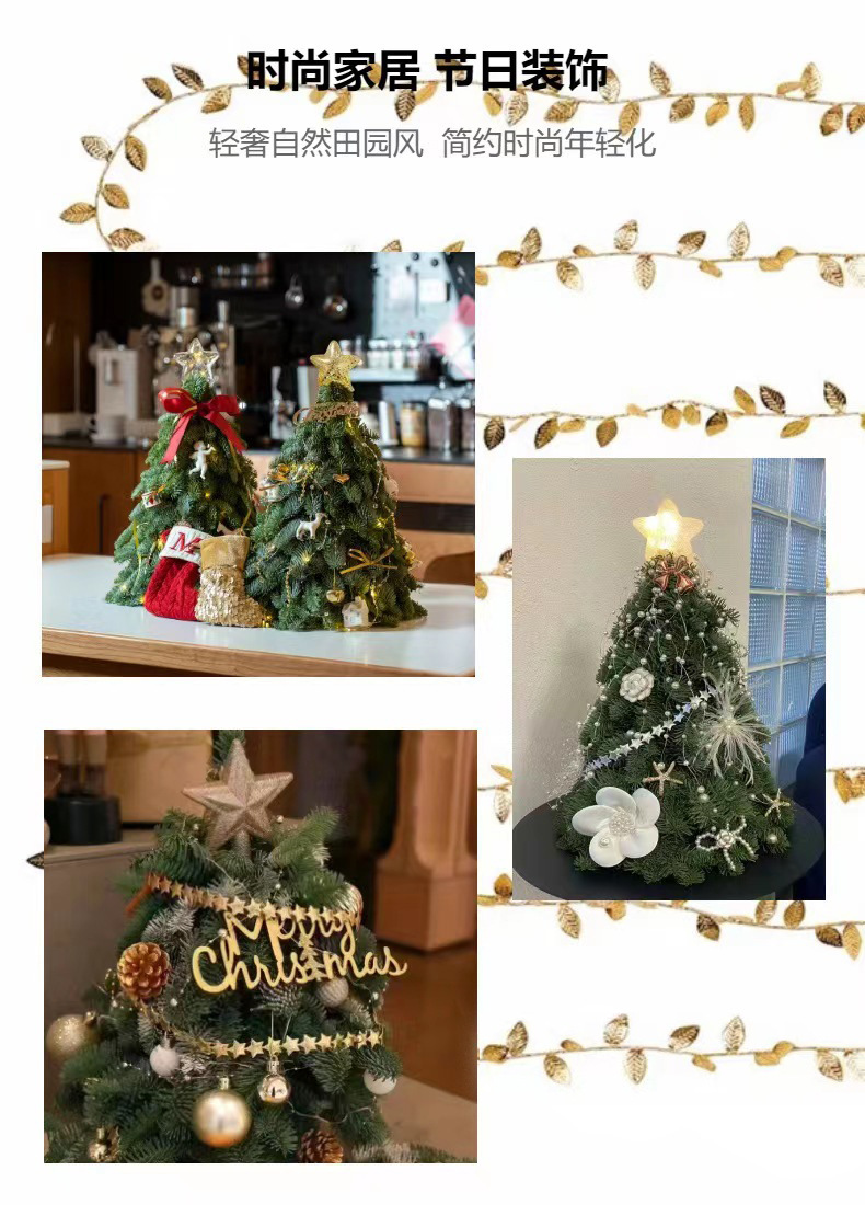 微信图片_20231008131526