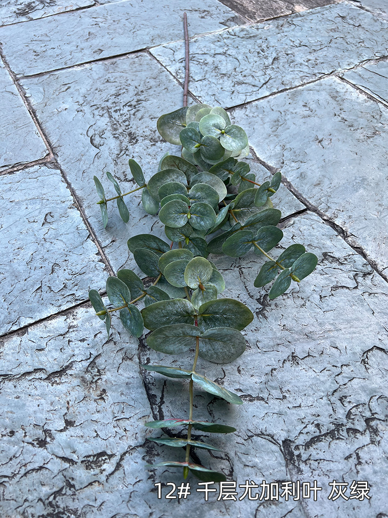 12#-千层尤加利叶-灰绿.jpg